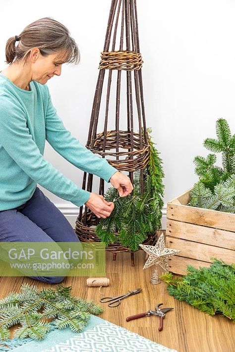 Woman using brown garden twine to attach pieces of pine - abies foliage to willow obelisk frame Willow Obelisk, Plant Photography, Image Frame, Macrame Plant Hanger, Plant Hanger, Twine, Christmas Crafts, Gap, Frame