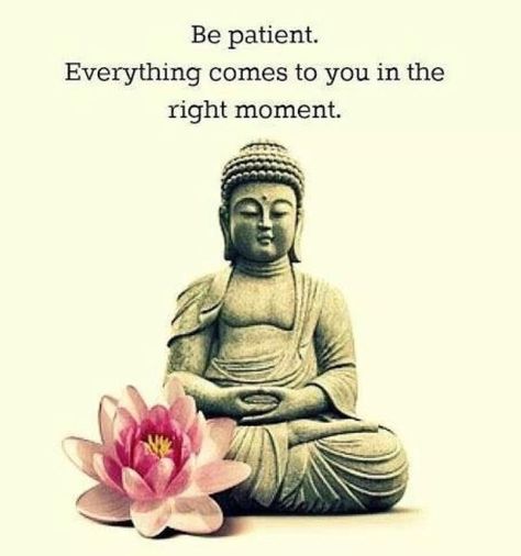 Be patient. Everything comes to you in the right moment. #quotes Buddha Quote, Buddha Quotes, Yoga Photography, Be Patient, Simple Living, The Words, Spiritual Quotes, Great Quotes, Buddhism