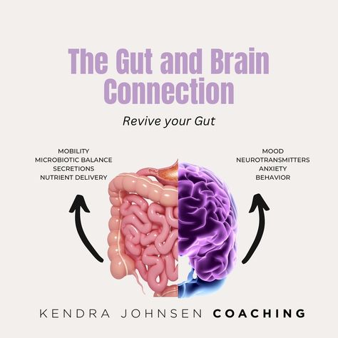 The gut affects mood, digestion, immunity, weight, etc. This is why it is important to understand gut health. “The Gut is Our Second Brain” how many of you have heard that saying before? 🧠 What does it mean? This relationship is a fascinating and complex one that has gained a lot of traction over the recent years. Researchers have discovered that the gut and brain communicate through a network known as the gut-brain axis, which involves very intricate signalling pathways including neur... Gut Brain Axis Illustration, Mood Regulation, Probiotics And Prebiotics, 6 Week Challenge, Second Brain, Brain Connections, Gut Brain, Gut Microbiota, Care Hospital