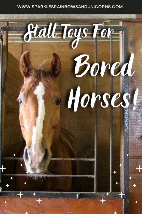 Stall Boredom Toys Diy, Horse Stall Toys Diy, Horse Stall Accessories, Horse Enrichment Ideas Diy, Diy Horse Stalls Toys, Horse Boredom Busters Diy, Diy Horse Boredom Toys, Diy Toys For Horses, Diy Horse Toys For Horses