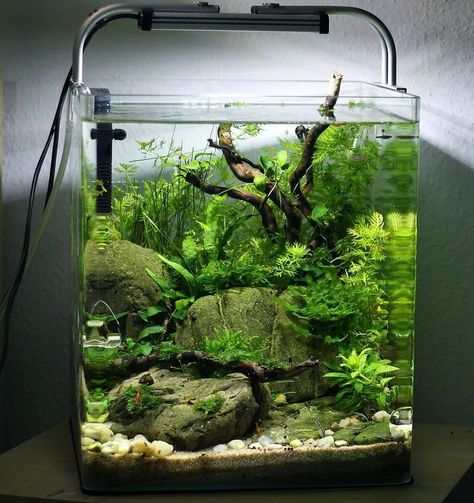 Fish Tank Landscape Ideas, Nano Aquascape, Fish Aquarium Decorations, Fish Tank Themes, Fish Tank Terrarium, Amazing Aquariums, Taman Air, Cool Fish Tanks, Aquascape Design