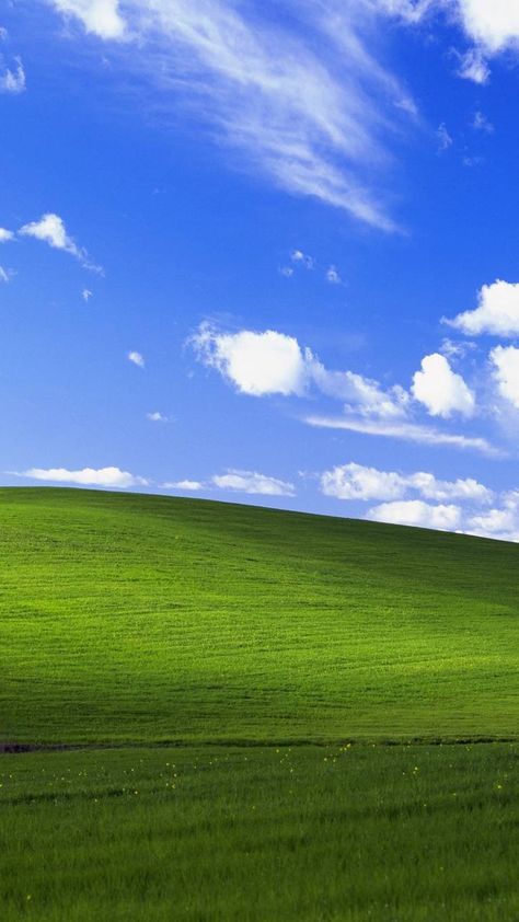 Windows Xp Wallpaper, Wallpaper For Android, Wallpaper For Phone, Hd Wallpaper Android, Windows Wallpaper, Tropical Wallpaper, Backgrounds Phone Wallpapers, Windows Xp, Rose Flowers