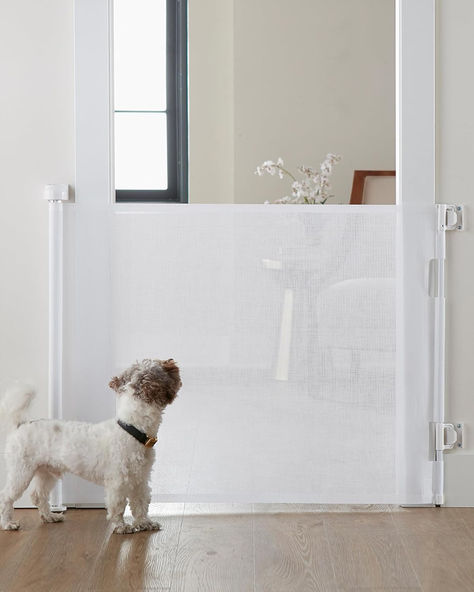 Dog gates for stairs