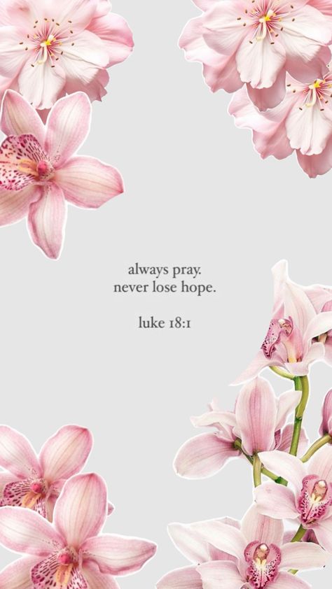 christian collage, ��“always pray, never lose hope” Luke 18:1 Always Pray Never Lose Hope, Bible Quotes Background, Always Pray, Christian Iphone Wallpaper, Scripture Wallpaper, Wallpaper Bible, Cute Bibles, Motivational Bible Verses, Christian Quotes Wallpaper