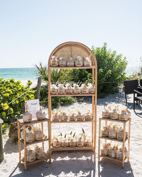 Looking for a healthy & refreshing drink option for your wedding? Try our Nariyal Pani! Made from fresh tender coconuts, it's the perfect way to keep your guests cool & hydrated. Coconut Stand Wedding, Beach Wedding Food, Beach Bonfire Ideas, Roatan Wedding, Small Beach Wedding Ideas, Coconut Stand, Nariyal Pani, Coconut Wedding, Wedding Coconut