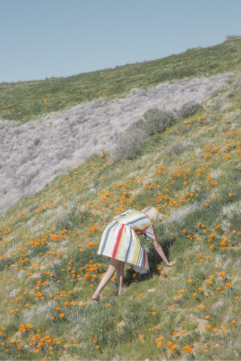 WHIT NY - young woman on hill with flowers by Jimmy Marble Photographie Portrait Inspiration, Trik Fotografi, 인물 사진, Photography Inspo, Orange Flowers, Adele, Summer Aesthetic, Photo Inspiration, Photography Inspiration