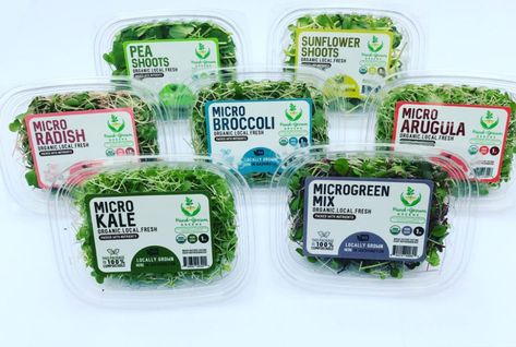 7 Easiest Microgreens to Grow - Hand-Grown Greens Microgreens Packaging, Microgreens Garden, Microgreens Recipe, Radish Greens, Indoor Farming, Organic Packaging, Label Ideas, Growing Microgreens, Set Yourself Up For Success