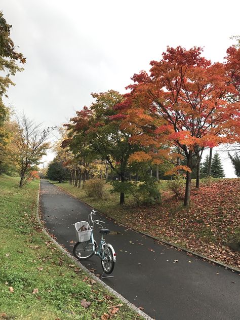 A light drizzle adds a romantic touch to a dazzling display of autumn colours at Moerenuma Park, Sapporo-shi, Hokkaido (Japan, October 2017) Hokkaido, Hokkaido Japan Autumn, Japan In October, Japan Moodboard, Japan Sapporo, Japan October, Japan Autumn, Sapporo Japan, Japan Hotel