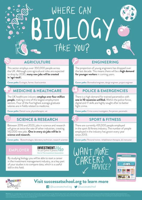 Where can #biology take you? This poster features great #career advice, sectors, actual #jobs and #labour market information, a great visual for #students to understand how their #curriculum links to careers in the real world. Credit: Success for Schools #placingpeoplefirst Career In Biology, Career Pathways Ideas, Science Jobs Career, Careers In Biology, Biology Career Aesthetic, Career Guidance Posters, Career Counseling Poster, Future Jobs Career, Biology Poster Ideas