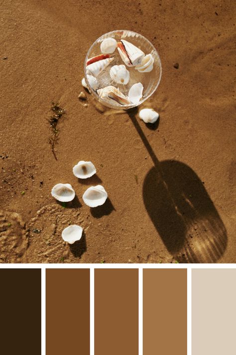 This Aesthetic Brown palette depicts seashells in a glass on a sandy beach, emphasizing the contrast between the delicate white shells and the warm, golden sand. Sandy Brown Aesthetic, Color Scheme Generator, Earth Colour Palette, Tone Color Palette, Earth Tone Color Palette, Color Generator, White Shells, Flip Image, Blur Image