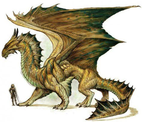 Have you ever wondered what you needed to start playing Dungeons and Dragons?  The mystery is over.  This article gives a general explanation and some insight into the best tabletop RPG ever. Dragon Medieval, Creature Fantasy, Bronze Dragon, Here There Be Dragons, Dragon's Lair, Cool Dragons, Here Be Dragons, Dragon Pictures, Mythical Beast