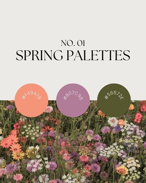 While we wait for the spring flowers to bloom, why not jump on the bandwagon early with some fresh spring color palettes? 🌷 ⁠
⁠
Swipe to see a range of color palettes that will make your brand stand out. Which one is your favorite?⁠ Spring Color Palette, Brand Stylist, Brand Assets, Spring Color, Canva Design, Spring Colors, Branding Inspiration, Brand Colors, Social Media Design