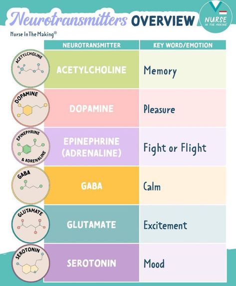 Nursing Students Study Notes Mental Health, Neuro Nursing Notes, Mental Health Nursing Student, Neuro Pharmacology, Fnp Study Cheat Sheets, Nursing Fundamentals Study Guides, Neuro Nursing, Pharmacy Technician Study, Nurse In The Making