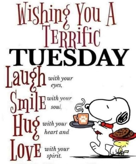 Positive Wishes For A Terrific Tuesday Pictures, Photos, and Images for Facebook, Tumblr, Pinterest, and Twitter Happy Tuesday Gif, Tuesday Gif, Tuesday Quotes Funny, Tuesday Quotes Good Morning, Tuesday Greetings, Tuesday Images, Terrific Tuesday, Good Morning Snoopy, Happy Tuesday Quotes