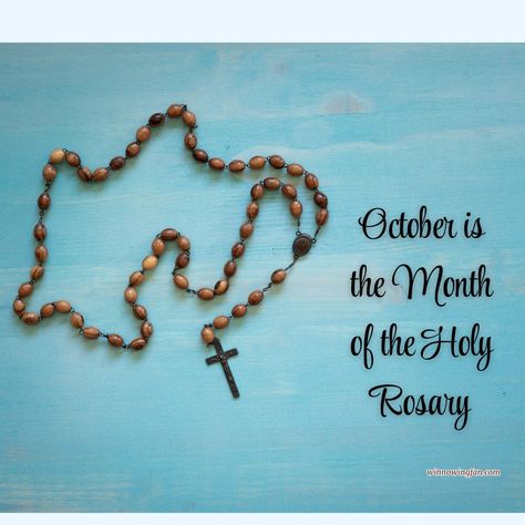 October is the month of the Holy Rosary #rosary #Lepanto #OurLadyoftheRosary #OurLadyofVictory #pray #winnowingfan October Month, Holy Rosary, Rosary, Quick Saves