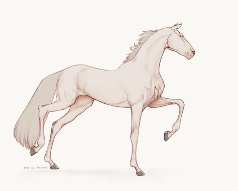 Cartoon Horse Sketch, Horse Tail Drawing, Horse And Rider Reference, Horse Side Profile Drawing, Cute Horses Drawing, Horse Drawing Base, Realistic Horse Sketch, How To Draw Horse, Horse Poses Reference