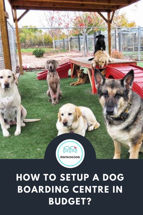 Starting A Dog Boarding Business, Starting A Dog Kennel Business, Dog Boarding Facility Ideas At Home, At Home Dog Daycare, In Home Dog Daycare Ideas, Pet Boarding Business Ideas, In Home Dog Boarding, Dog Boarding Facility Ideas, Dog Boarding Business