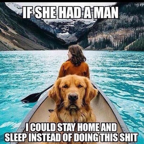 15 Reasons Why Your Dog Is Keeping You Single - BARK Post Funny Girl Meme, Funny Relationship Quotes, Funny Memes About Girls, Dog Shaming, Poor Dog, Poodle Puppy, Day Trader, Memes Humor, Funny Animal Memes