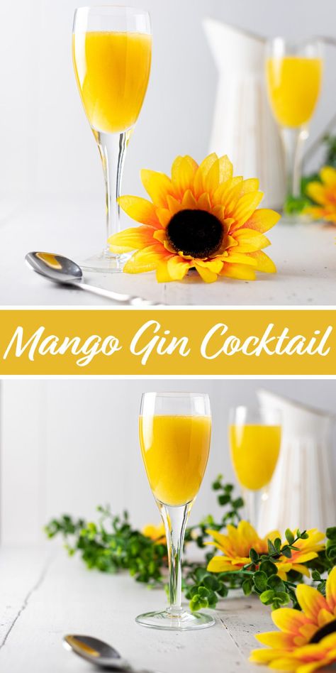 A light, refreshing mango gin cocktail made with fresh mango juice, gin, triple sec, lime juice and simple syrup. This easy-to-make gin drink is the perfect spring and summer cocktail. #mango #mangococktail #gincocktail Gin Drinks Summer, Mango Gin Cocktail, Mango Cocktail Recipes, Mango Juice Cocktail, Mango Cocktails, Gluten Free Alcoholic Drinks, Popular Mixed Drinks, Gluten Free Cocktails, Easy Gin Cocktails