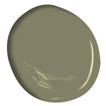 Bm Tate Olive, Tate Olive, Exterior Paint Colours, Benjamin Moore Green, Washing Room, Olive Green Paints, Rest Room, House Color Palettes, Painting Kitchen