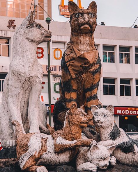 Located rather unglamorously on a roundabout in front of a McDonald’s fast food restaurant, the charming cat statue cannot help but make you smile ... in Kuching - Sarawak, Borneo, Malaysia ~.~ Kuching Sarawak Aesthetic, Sarawak Aesthetic, Malaysia Poster, Borneo Travel, Kuching Malaysia, Borneo Malaysia, Kuching Sarawak, Travel Guide Design, Guide Design