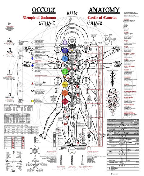 Occult Anatomy.- Incredible image of the occult anatomy of the body, drawn from Kabbalah, Yoga and much more.  The image below depicts the occult anatomy of the human body, as projected on the Vitruvian Man (originally done, obviously, by Leonardo da Vinci). It unifies the Tree of Life, the Yogic Chakras, and information from Kundalini Yoga, Tantra, Astrology, Tarot and Alchemy. It’s a beast! Occult Anatomy, Da Vinci Vitruvian Man, Vitruvian Man, Spirit Science, Occult Art, Body Anatomy, Les Chakras, Kundalini Yoga, Secret Society