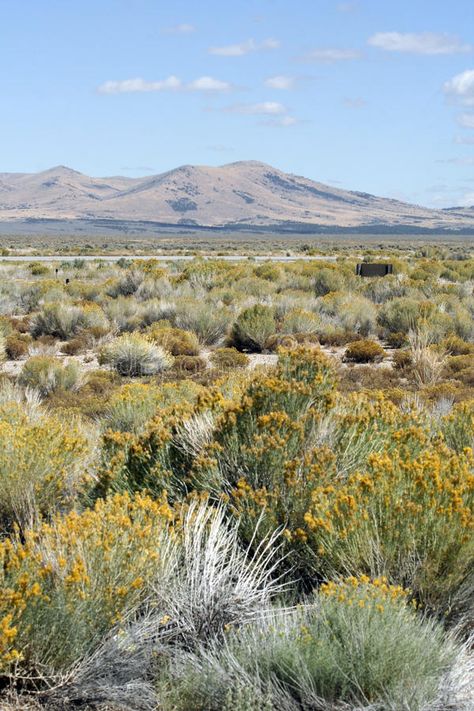 Desert Tattoo, Utah Landscape, Nevada Desert, Desert Photography, Places In California, Desert Mountains, Cheap Flight, Cheap Flight Tickets, Flight Tickets