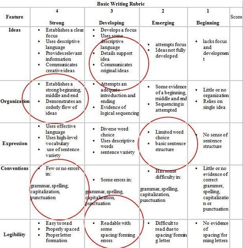 Here you will find a simple elementary writing rubric, along with a few samples of expository and narrative rubrics. Rubric For Essay Writing, Essay Rubric High School, Writing Rubric Middle School, Writing Rubrics, Ap Lang, Writing Essays, Writing Websites, 5th Grade Writing, Writing Rubric