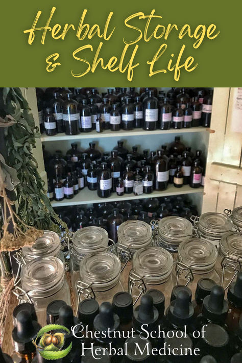 Whether you grow your own herbs or purchase them from a bulk supplier, storing dried herbs properly will ensure they enjoy a long life filled with potency and freshness. #apothecary #herbalist #herbalmedicine #herbalism #shelflife #storage #pantrystorage #vinegar #homesteading Bulk Herb Storage Ideas, Dried Herb Storage, Apothecary Closet Ideas, Herb Store Design, Home Apothecary Storage, Home Apothecary Ideas, Herb Storage Ideas, Herbalist Room, Herbal Pantry