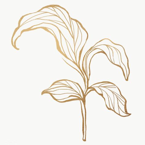 Detailed golden leaves transparent pg | premium image by rawpixel.com / nunny Leaf Drawings, Line Art Flowers, Gold Wallpaper Background, Leaf Outline, Flower Outline, Gold Leaf Art, Leaf Drawing, Flower Background Wallpaper, Golden Leaves