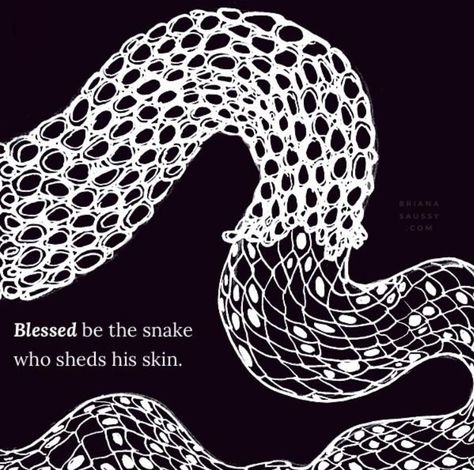 Shedding Skin, Snake Painting, Snake Shedding, Skin Tattoo, Florida Water, Snake Art, Daily Blessings, Thigh Tattoos, The Serpent