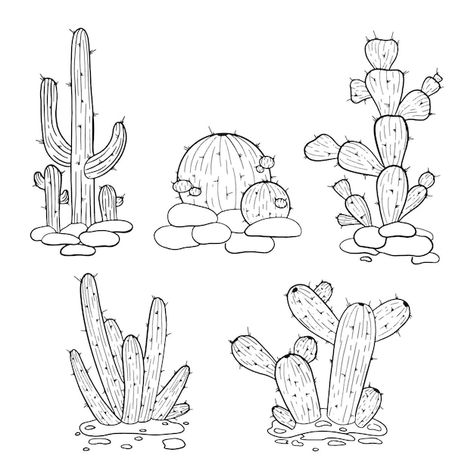 Vector hand drawn cactus isolated on whi... | Premium Vector #Freepik #vector #line-drawing #cactus-illustration #cactus #line-illustration Cactus Line Art, Drawing Cactus, Cacti Flower, Mexico Cactus, Mexican Cactus, Tall Cactus, Cactus Clipart, Cactus Drawing, Home Plants