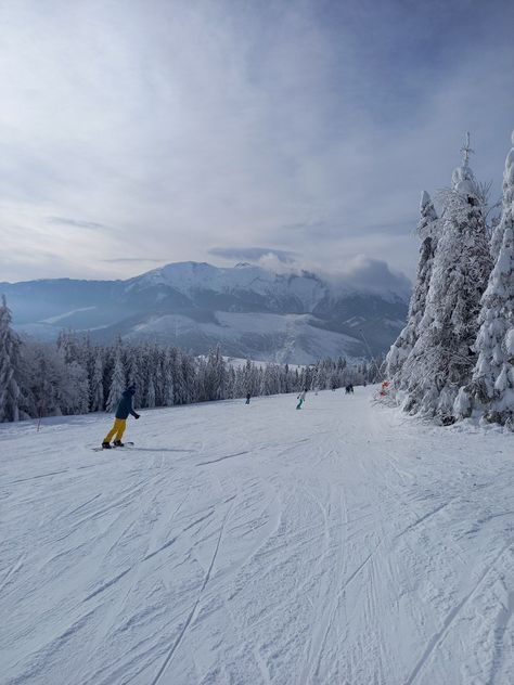 Skiing in the high tatra #Ski #skiing #snowboard #Snowboarding #Winter #snow #aestethic #mountains #vacation #sports Mammoth Mountain Skiing, Skiing Mountains, Ski Mountains, Winter Board, Mountains Vacation, Skiing Aesthetic, High Tatras, Ski Culture, Snow Boarding