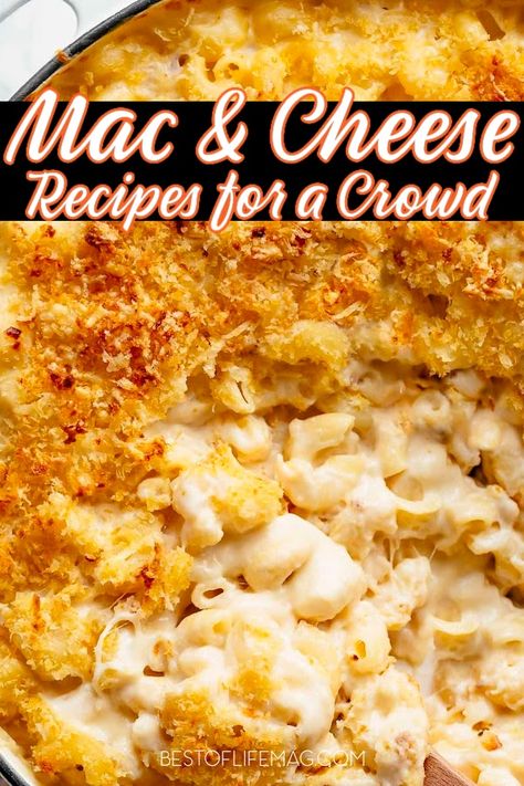 Mac And Cheese Recipe For 100 People, Mac And Cheese For A Party, Mac And Cheese For 40 People, Catering Mac And Cheese, Macaroni And Cheese Recipe For A Crowd, Large Macaroni And Cheese Recipe, Mac And Cheese Potluck, Mac And Cheese For 60 People, Max And Cheese For A Crowd