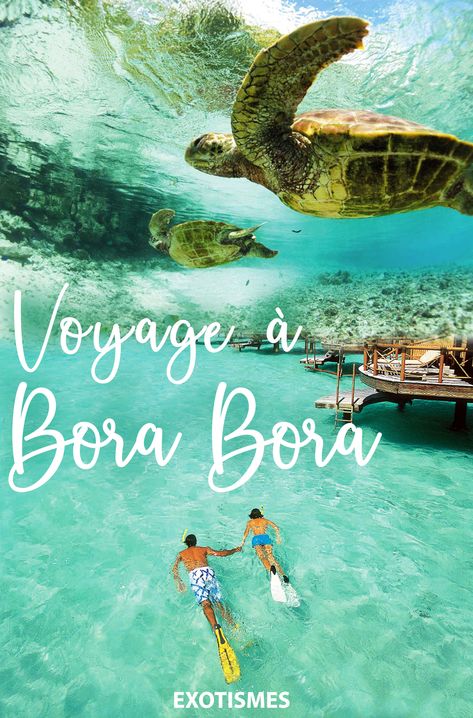 La "Perle du Pacifique", ou plus connue sous le nom de Bora Bora, est une île paradisiaque à l'autre bout du monde. Eaux turquoise, plages de rêve, maisons sur pilotis 🥥🏝🌴... Là-bas, tout est sujet au dépaysement 😍 À vous de vous évader !! #exotismes #borabora #voyage #evasion Different Holidays, Bora Bora, Beautiful Places To Visit, Travel Couple, Holiday Destinations, Tahiti, Business Travel, Day Off, Pool Float