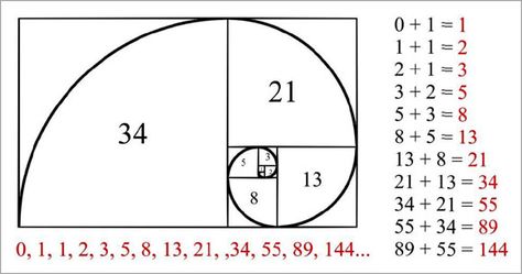 PHI, METATRON'S CUBE AND THE HOLY NUMBER 108 - World Mysteries Blog Leonardo Fibonacci, Fibonacci Art, Fibonacci Golden Ratio, Golden Section, Proportional Relationships, Yoga Symbols, Fibonacci Sequence, Fibonacci Spiral, Platonic Solid