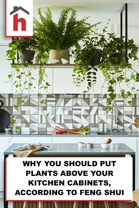 Plants Kitchen Cabinets, Kitchen Cabinet Plants Above, Plants Above Cabinets, Hanging Plants Kitchen Cabinets, Real Plants On Top Of Kitchen Cabinets, House Plants On Top Of Cabinets, Hanging Plants In The Kitchen, Indoor Plants For Kitchen, Plants On Cabinets In Kitchen