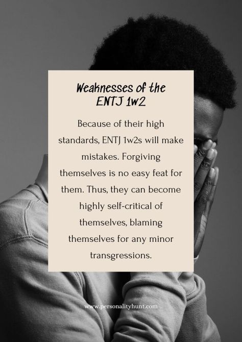 ENTJ 1w2 (The Complete Guide) 3 Enneagram, 1 Enneagram, 2 Enneagram, Planet Song, 7 Enneagram, 6 Enneagram, 5 Enneagram, 4 Enneagram, Enneagram 6