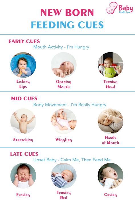 New Born Feeding, Feeding Cues, Babysitter Checklist, Doula Care, Newborn Feeding, Newborn Baby Tips, Newborn Hacks, Gender Reveal Party Decorations, Body Movement