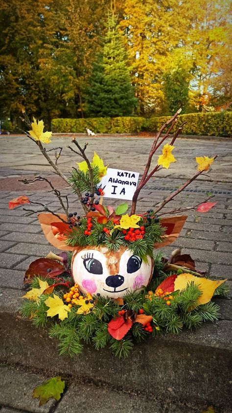 #pumpkincarving, #halloweenpumpkins, #pumpkinart, #halloweendecor, #spookypumpkins, #halloween2023, #creativehalloween, #pumpkindecor, #halloweeninspiration, #carvingideas Fall Pumpkin Decorating Ideas, Deer Pumpkin, Creative Pumpkin Decorating, Cute Pumpkin Carving, Pumpkin Decorating Contest, Pumpkin Contest, Carving Pumpkins, Pumpkin Carvings, Halloween Pumpkin Designs