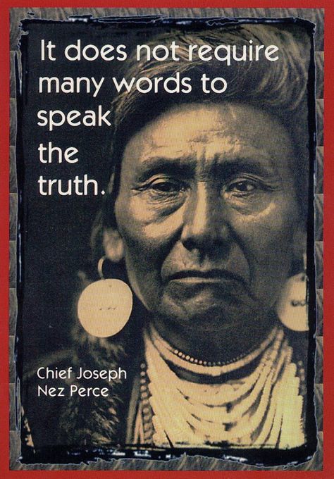 Native American Proverbs, Native Quotes, American Indian Quotes, American Proverbs, Native American Prayers, Native American Proverb, Native American Spirituality, Native American Woman, Chief Joseph