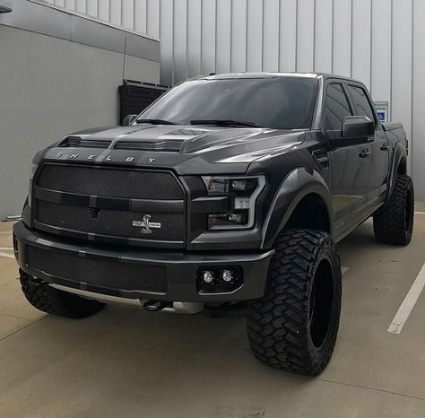 Ford F-250 Shelby Truck, Shelby Raptor, Shelby F150, Truck Life, Ford Trucks F150, Ford F150 Raptor, Ford Suv, Custom Pickup Trucks, Ford Shelby