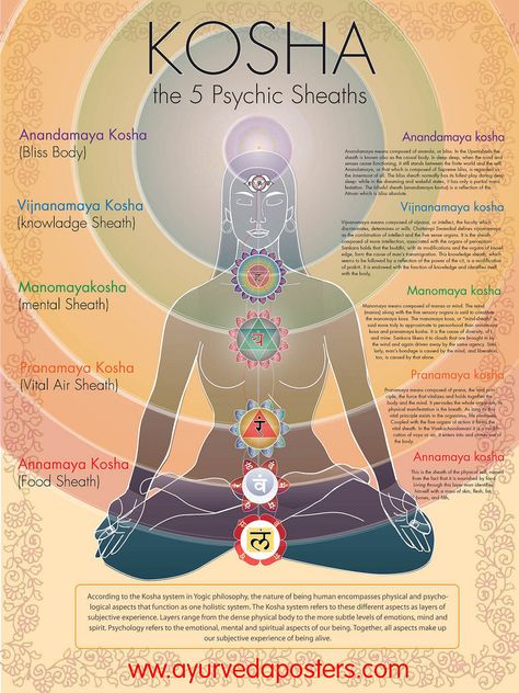 the 5 Koshas Usui Reiki, Yoga Ashtanga, Arte Yoga, Ayurveda Lifestyle, Chakra Heilung, Ashtanga Vinyasa Yoga, The Seven Chakras, Yoga Kundalini, Ayurveda Yoga