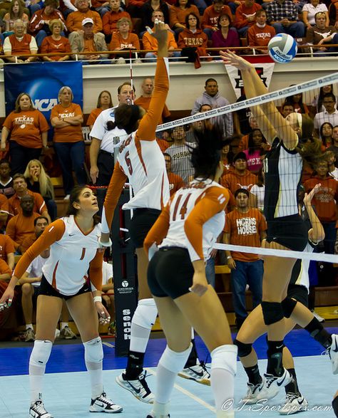 Texas Longhorns Volleyball Wallpaper, Regional, College Volleyball Pictures, Texas Longhorns Volleyball, College Volleyball Aesthetic, Ut Volleyball, Longhorns Volleyball, Texas University Longhorns, Volleyball Goals