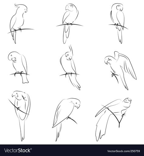 Bird Line Drawing, Parrot Logo, Parrot Tattoo, Parrot Drawing, Rabbit Tattoos, Cute Fall Wallpaper, Free Hand Rangoli Design, Dainty Tattoos, Drawing Set