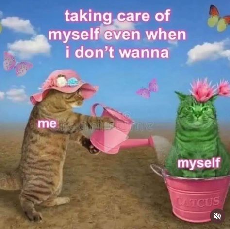 Ovulation Aesthetic, Wellness Memes, Wise Aesthetic, Hopecore Aesthetic, Humor Aesthetic, Friday Aesthetic, Healing Aesthetic, Positive Aesthetic, Taking Care Of Myself