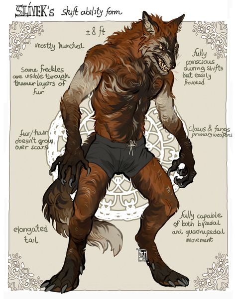 How To Draw Werewolves, Bone Character Design, Werewolf Oc Character Design, Werewolf Reference Drawing, Dnd Werewolf Character, Werewolf Character Art, Drawing Werewolves, Werecat Oc, Werewolf Drawing Reference