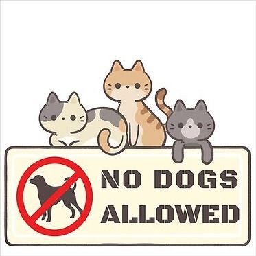 No Dogs Allowed Sign, Union Representative, Cats Sitting, Cat Jokes, Dog Silhouette, Kitty Kitty, Kawaii Animals, Cat Sitting, Cat Cat