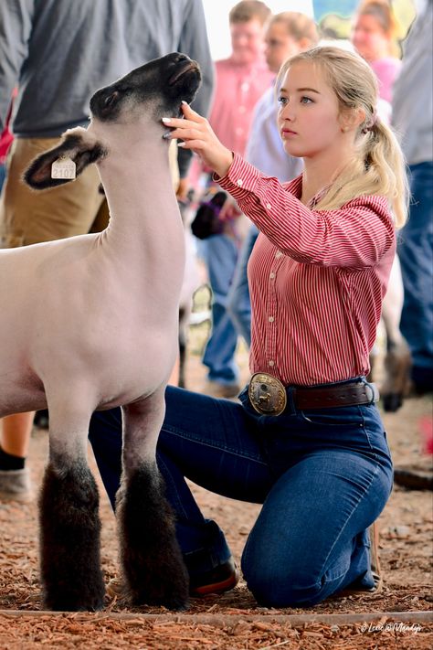 Dairy Cattle Showing, Showmanship Outfit Livestock, Sheep Showing Outfits, Goat Showing Outfits, Goat Show Outfits, Showing Livestock Outfits, Livestock Judging Outfits, Ffa Outfits, Sheep Showmanship