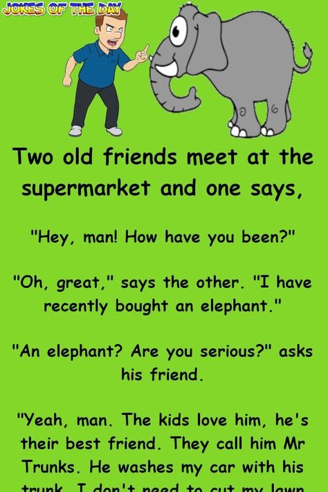 Funny Joke: Two old friends meet at the supermarket and one says,   "Hey, man! How have you been?"   "Oh, great," says the other. "I have recently bought an Oh Great, 6th Grade Science, Funny Jokes To Tell, Human Body Parts, Are You Serious, Hey Man, Joke Of The Day, Jokes Funny, An Elephant